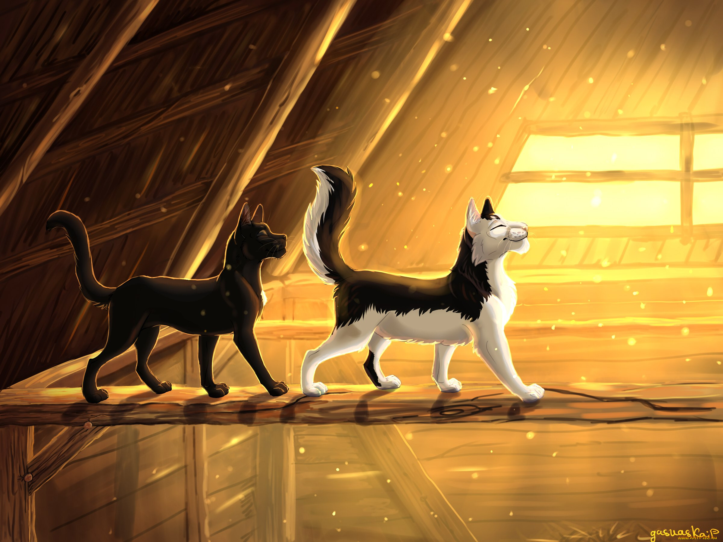  ,  , animals, 